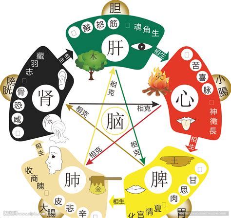 醫院 五行|医疗行业五行属性